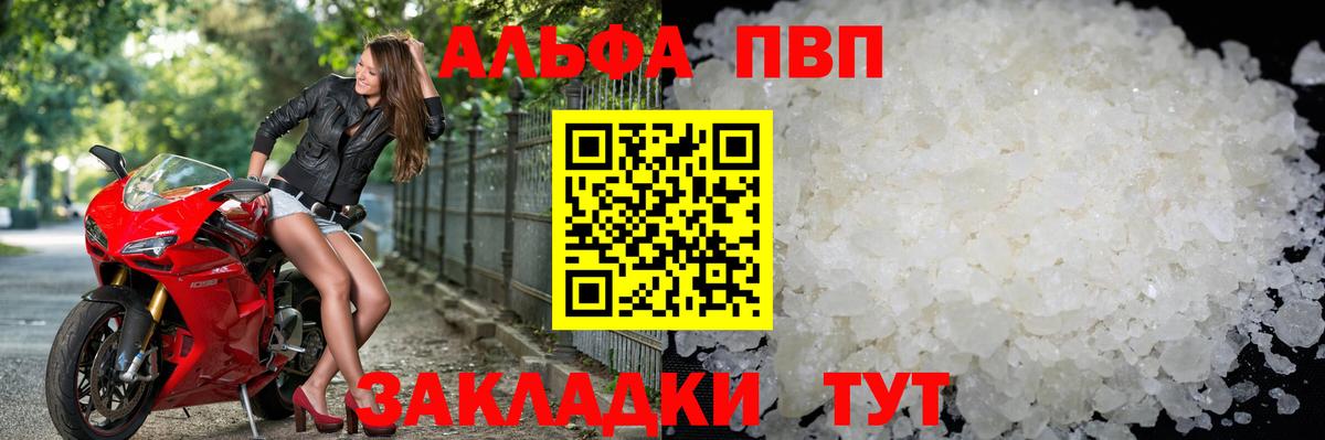A PVP СК КРИС Нарьян-Мар