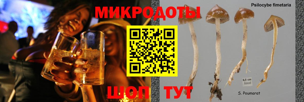 Галлюциногенные грибы GOLDEN TEACHER  Галлюциногенные грибы GOLDEN TEACHER  Нарьян-Мар  Вход с VPN 